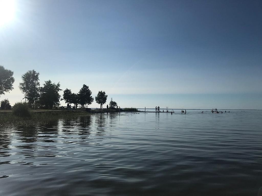 En brygga med badande barn en solig sommardag.