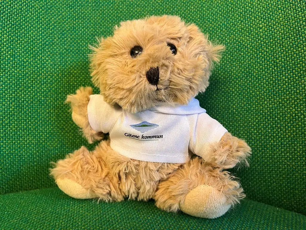 A teddy bear wearing a sweater with the Götene municipality's logo on it.
