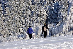 Ett par på promenad i snön