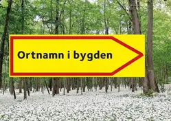 Ortnamn i byden.