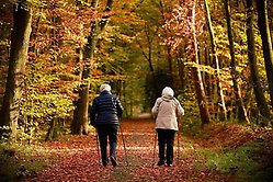 Två personer går en promenad med stavar i en skog full med höstlöv. 